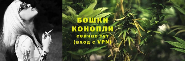 ALPHA PVP Няндома