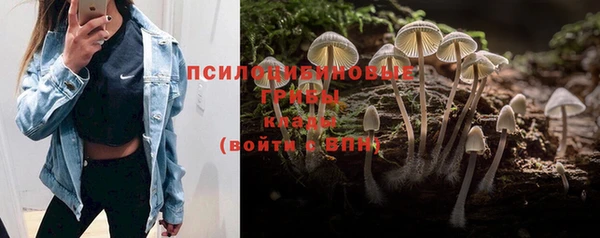 спиды Нязепетровск
